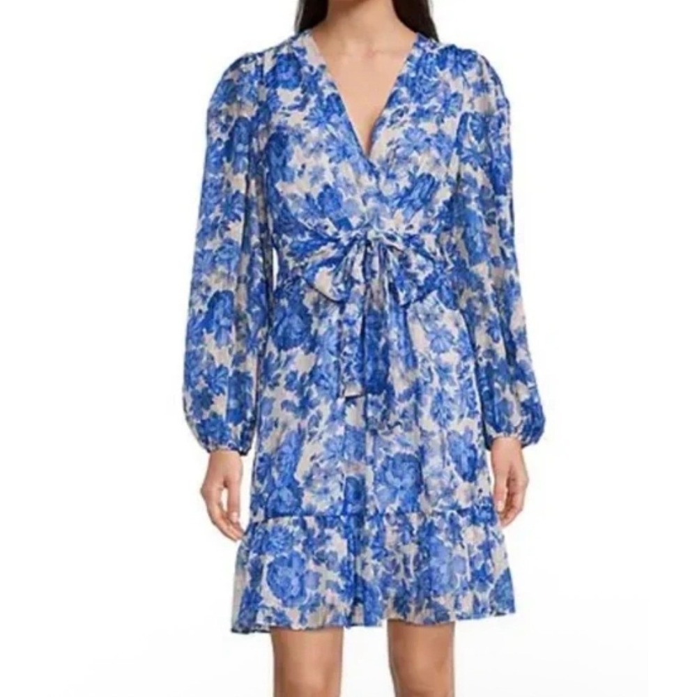 Alex Marie Blue Floral Metallic Stripe V-Neck Ruffle Mini Dress Size 10